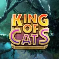 King of CatsBigtimegaming